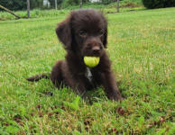 Der erste Tag im neuen Zuhause