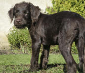 ...und die Beine werden immer länger...