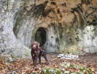 GOFI als Höhlenforscher