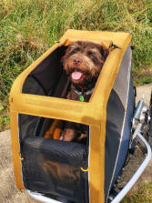 Ausflug im neuen Cabrio